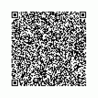 vCard 78453390163