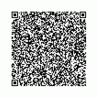 vCard 78453390179