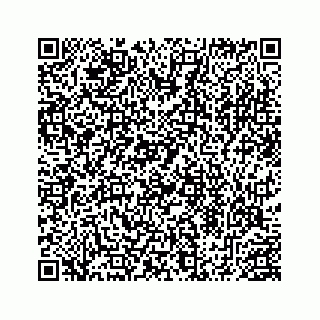 vCard 78453390200