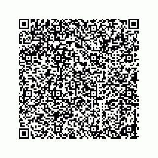 vCard 78453390201