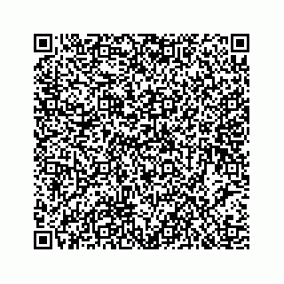 vCard 78453390203