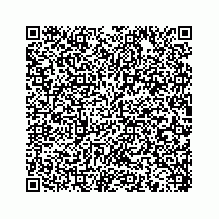 vCard 78453390221