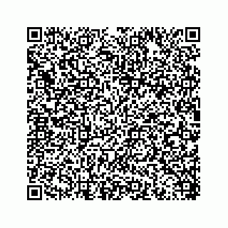 vCard 78453390251
