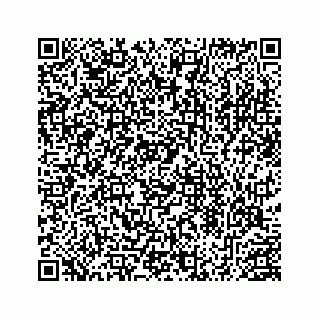 vCard 78453390253
