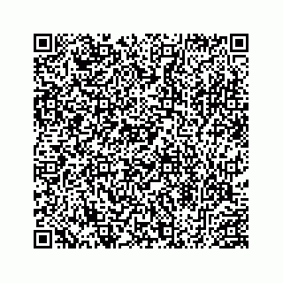 vCard 78453390259