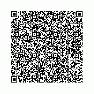 vCard 78453390263