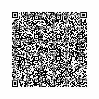 vCard 78453390275