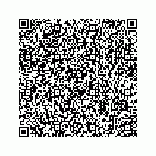 vCard 78453390287