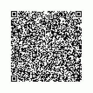 vCard 78453390303