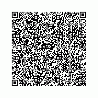 vCard 78453390307