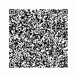 vCard 78453390309