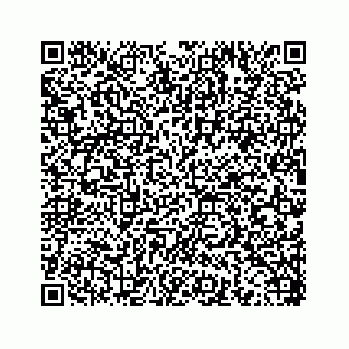 vCard 78453390310