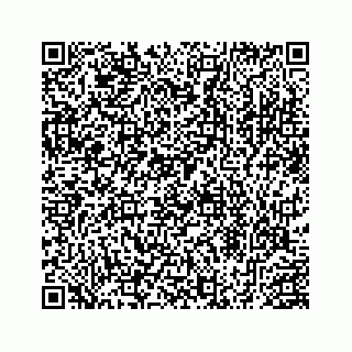 vCard 78453390313