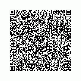 vCard 78453390317