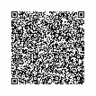 vCard 78453390319