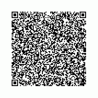 vCard 78453390321