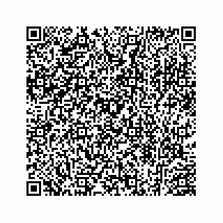 vCard 78453390331
