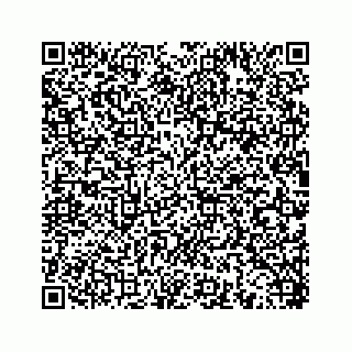 vCard 78453390333