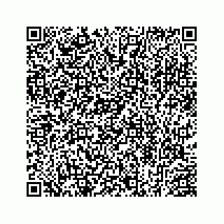 vCard 78453390334