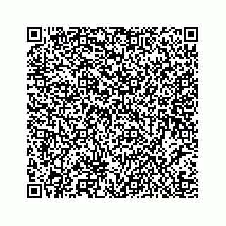 vCard 78453390335
