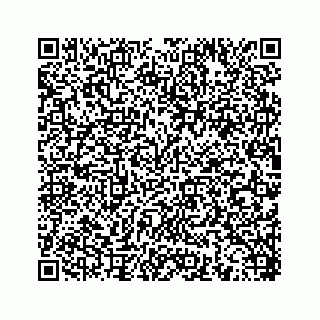 vCard 78453390338