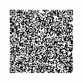 vCard 78453390339