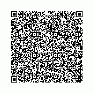 vCard 78453390353