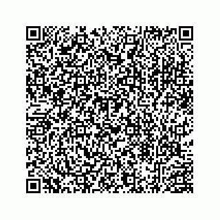 vCard 78453390367