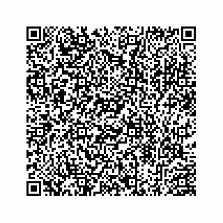 vCard 78453390370
