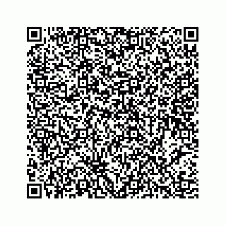 vCard 78453390373
