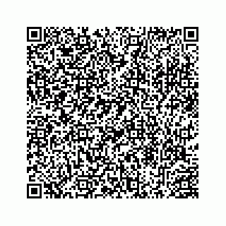 vCard 78453390379