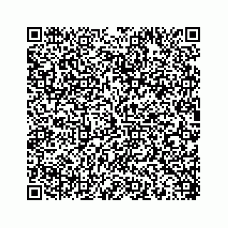 vCard 78453390381