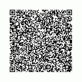 vCard 78453390384