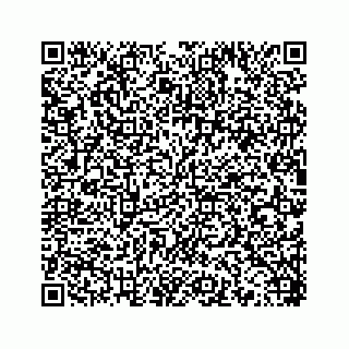 vCard 78453390387