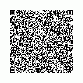 vCard 78453390389
