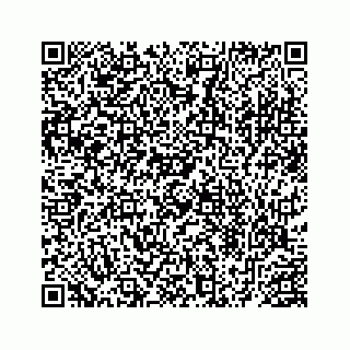 vCard 78453390399