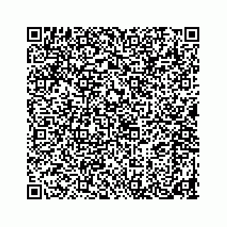 vCard 78453440133