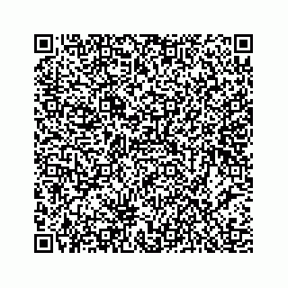 vCard 78453440313