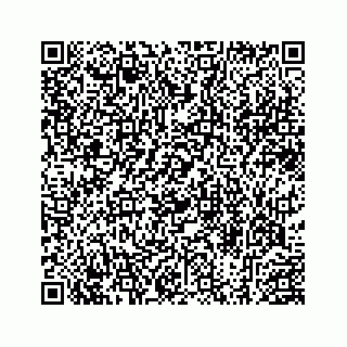 vCard 78453796271