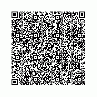 vCard 78453796381