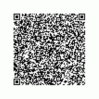 vCard 78453900331