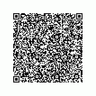 vCard 78453903242