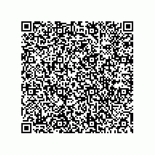 vCard 78453903251