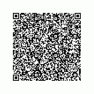 vCard 78453903275