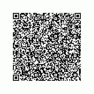 vCard 78453903281