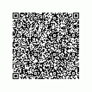 vCard 78453903285