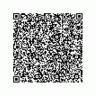 vCard 78453903287