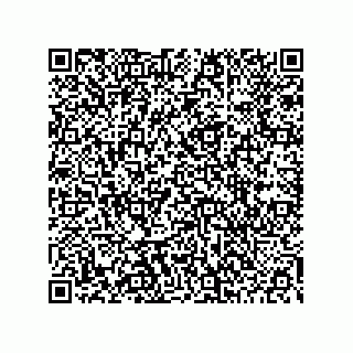 vCard 78453903295