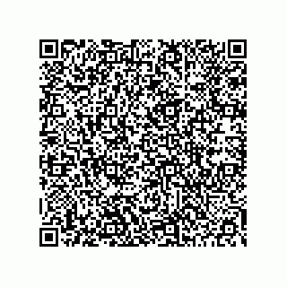 vCard 78453903301