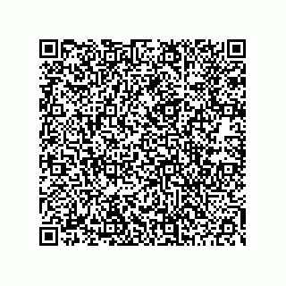 vCard 78453903331